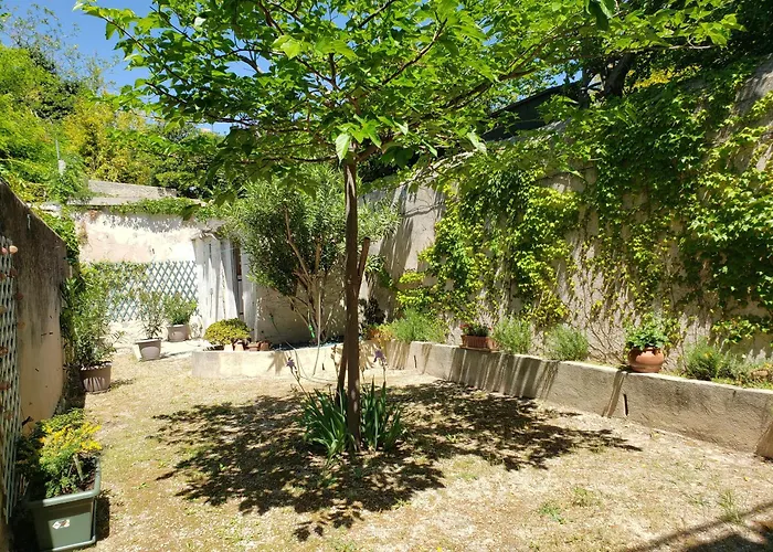 Appartement Au Coeur De Cassis Avec Jardin