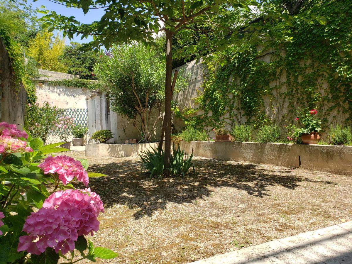 Apartment Au Coeur De Avec Jardin *