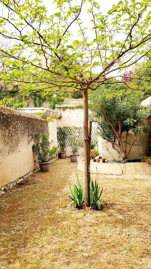 Au Coeur De Avec Jardin Appartement *